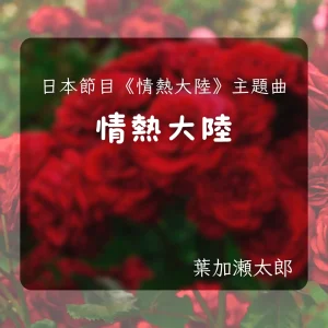 《情熱大陸》雙版本改編｜中規中矩 × 熱情奔放｜小提琴演奏版（含伴奏音檔）