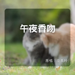 午夜香吻｜小提琴 × Backing