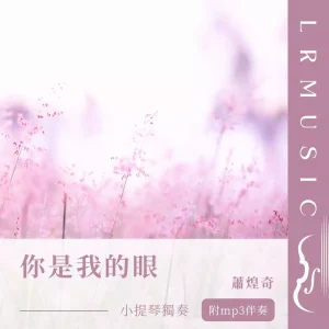 你是我的眼｜小提琴 × Backing