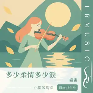 多少柔情多少淚｜小提琴 × Backing